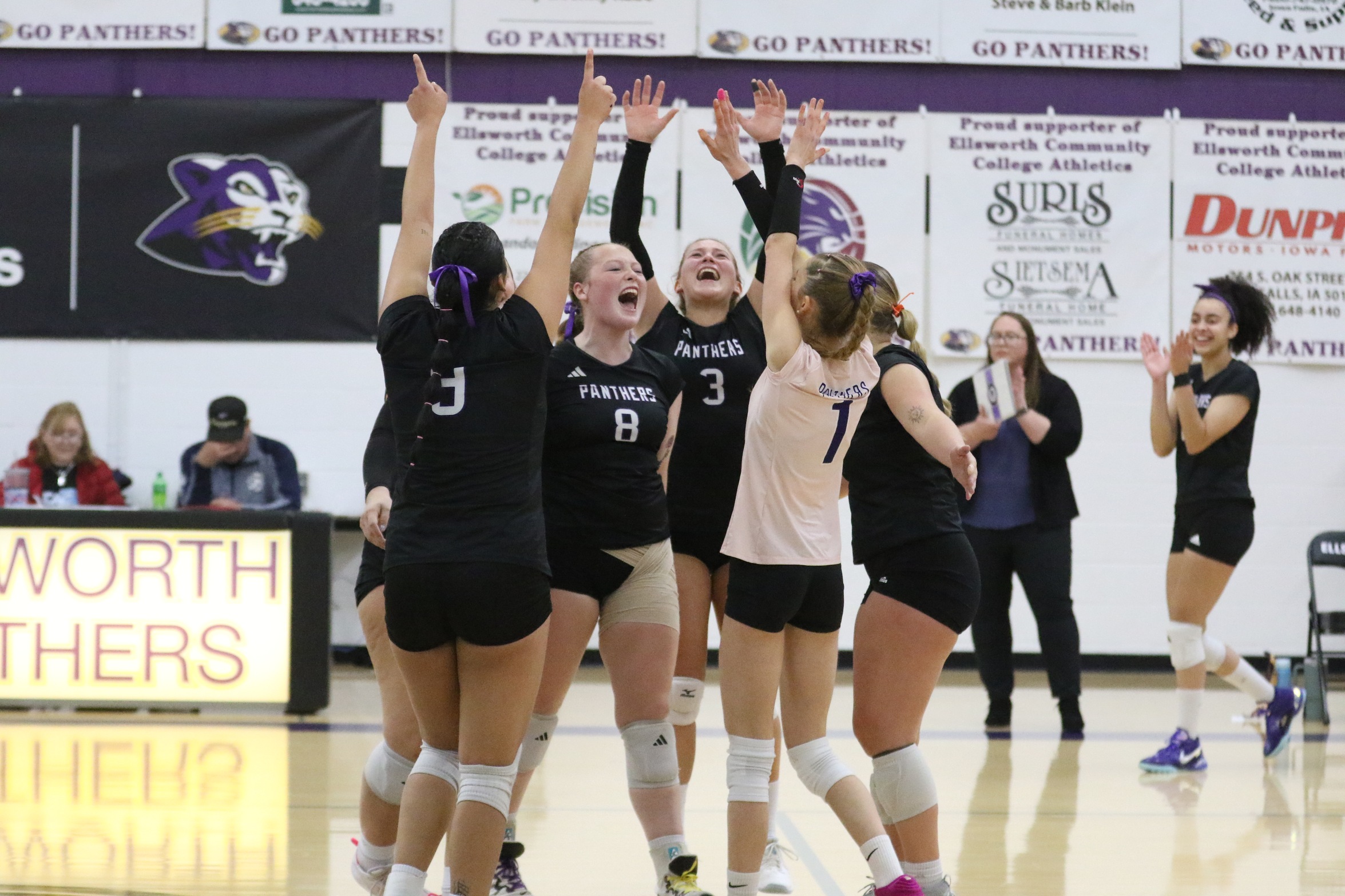 Panthers celebrate! Photo by Marissa VanWingen, The Times Citizen.